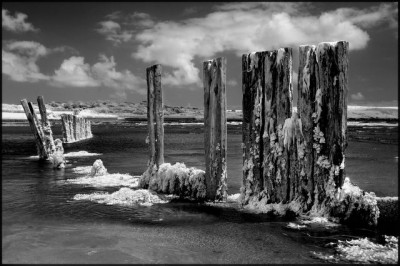 dsc_0254_4_frame